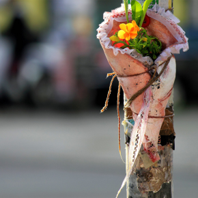 Guerilla Gardening