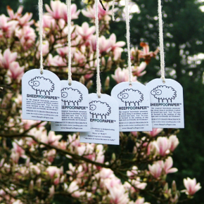 Sheep Poo Paper