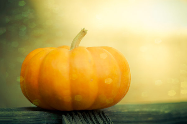 i love eco blog, herfst, herstsfeer, wat te doen in de herfst,