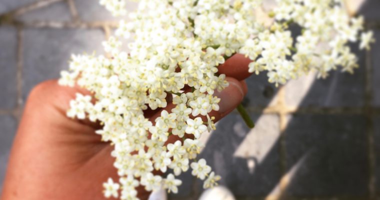 Recept: vlierbloesemsiroop