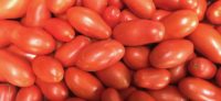 tomaten inmaken