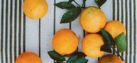 Recept: sinaasappelconfituur